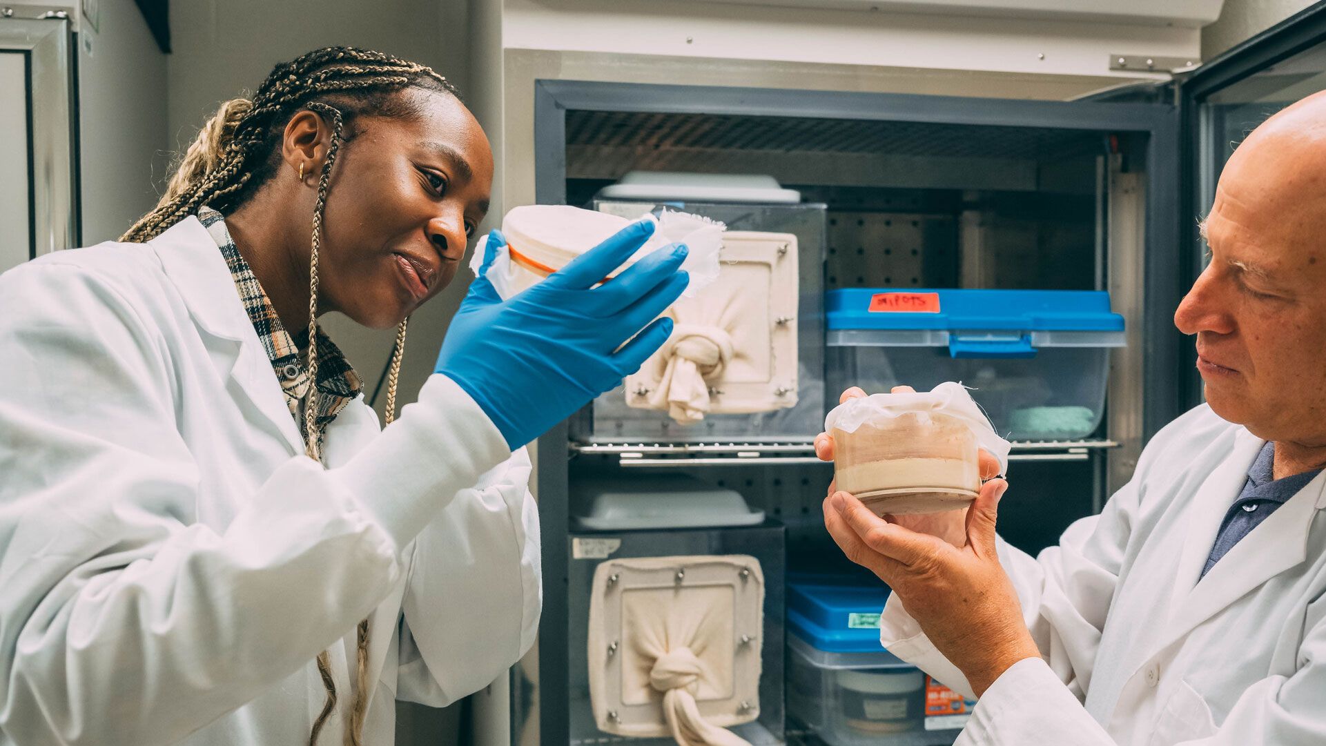 Wasserberg and Akabeuze maintaining Wasserberg's sand flea colony