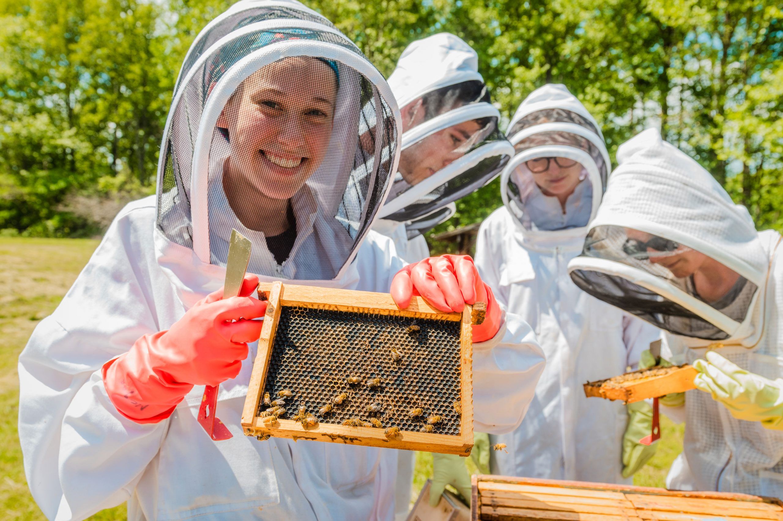 A person in beekeeping gear smiling while holding a honeycomb with bees